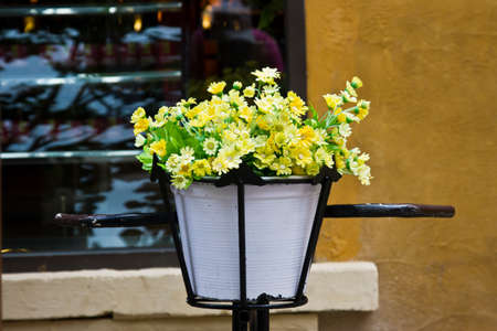 flower garden in flowerpotの写真素材