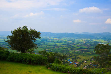 fog in the forest の写真素材