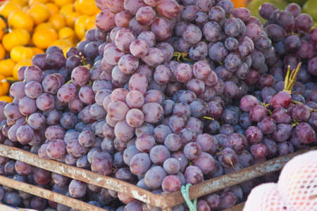 Purple grapesの写真素材