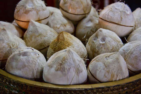 fresh coconutの写真素材