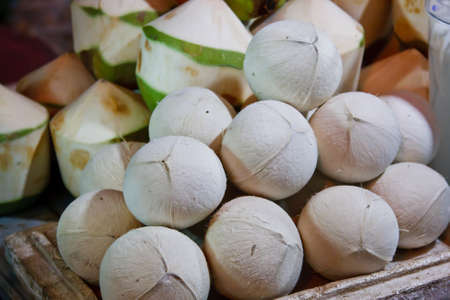 fresh coconutの写真素材