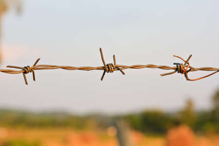 barbed wire fence on a backgroundの写真素材