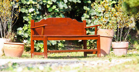 chair in a garden