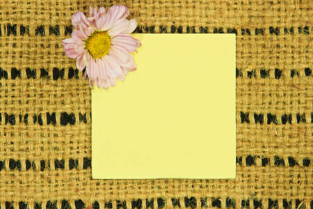 Note paper with idea background の写真素材