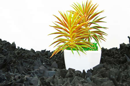 bit clothes and isolated on white の写真素材