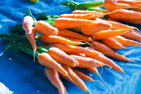Fresh organic carrots