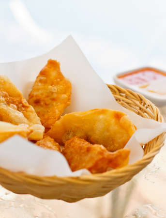 Fried Pot stickers, Dumplings, Traditional Asian Foodの写真素材