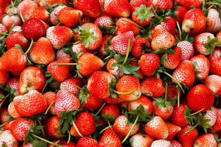 Fresh ripe perfect strawberry in the marketの写真素材