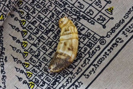 small buddha image used as amuletsの写真素材