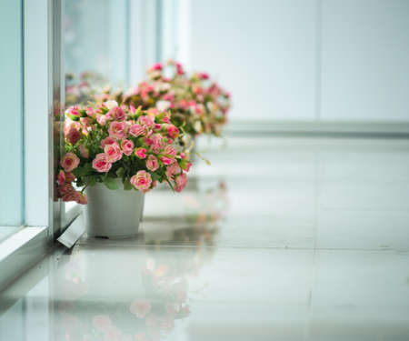 Flower in pot vintage style, holiday and wedding floral decorations