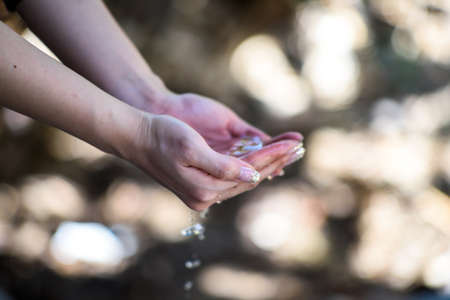 Beautiful Woman Hands Washing