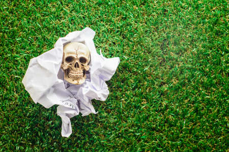 Human skull in Crumpled paper on Green grass backgroundの写真素材