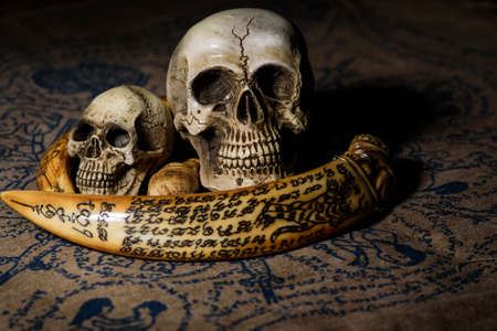 human skull with bone still life backgroundの写真素材