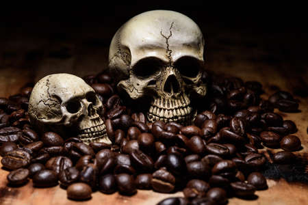 close up Human Skull with coffee beansの写真素材