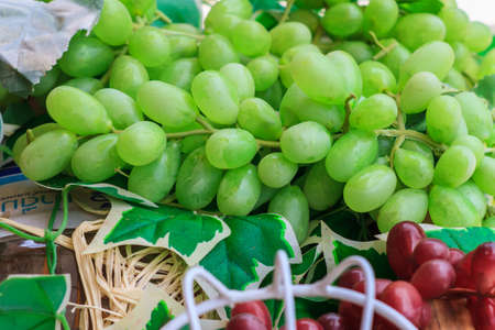 bunch of green grapes on the vine with green leaves backgroundの写真素材