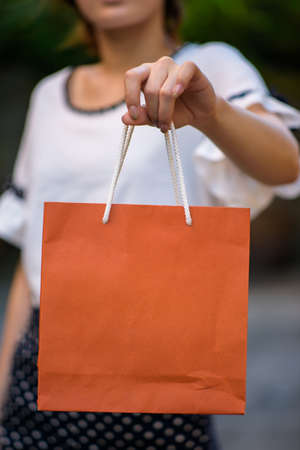 Concept of woman shopping and holding bagの写真素材