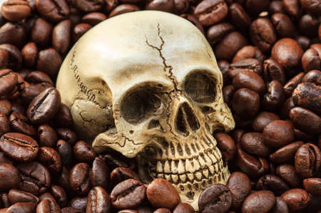close up Human Skull with coffee beansの写真素材