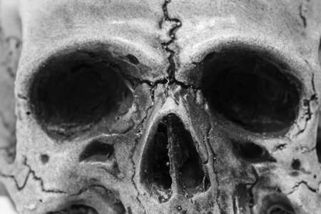 Close up old Human Skullの写真素材