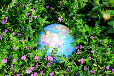 Globe lies on green grass.の写真素材
