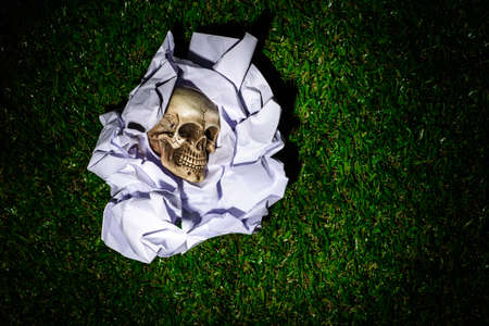 Human skull in Crumpled paper on Green grass backgroundの写真素材