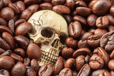 close up Human Skull with coffee beansの写真素材