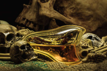 small buddha with human skull still life backgroundの写真素材