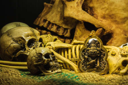 small buddha with human skull still life backgroundの写真素材