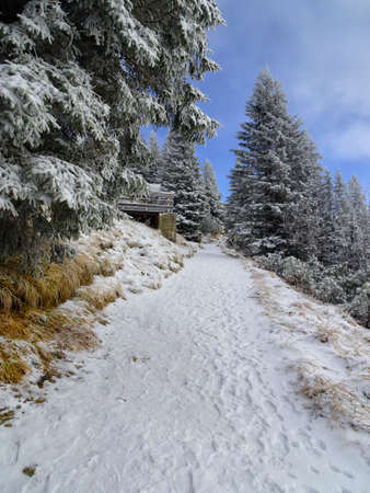 Germany, Tegelberg - Snowy trail in the mountain landscapeの写真素材