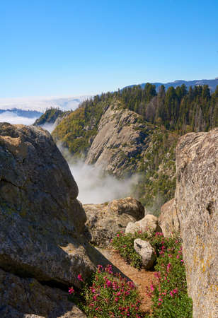 Stock photo: Moroccan national park, Sequoia National Park, USAの写真素材