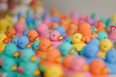 Toy Ducksの写真素材
