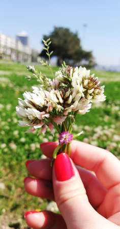 corsageの写真素材