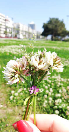 Spring arrivesの写真素材