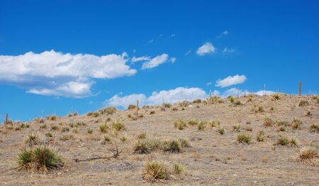 A wire fence climbs over a yucca-studded hilltop in dry open prairieの写真素材