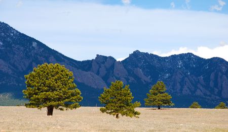 Sunlit trees stand in dry country before a line of mountains that are in shadowの写真素材