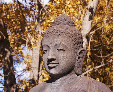 Stone Buddha head with backdrop of autumn treesの写真素材