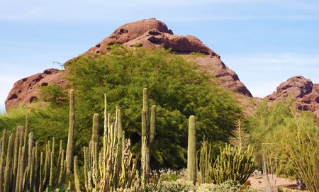 Desert hill formed from a sandstone boulderの写真素材