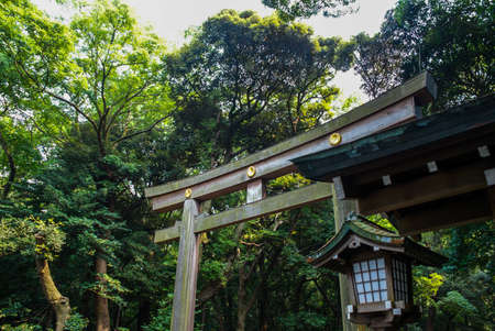 Meiji Jinguのeditorial素材