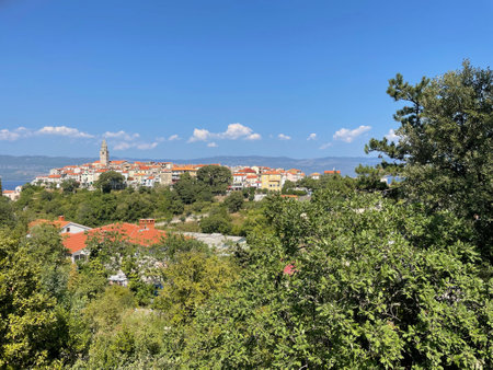 Panoramic view of Rovinj, Istria, Croatiaの写真素材