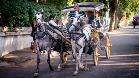 Istanbul, Turkey - August 10, 2013: Horse carts of Prince Islands in Istanbul, Turkeyのeditorial素材