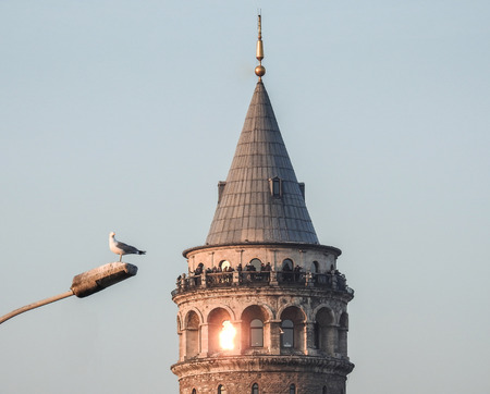 Istanbul, Turkey - February 18, 2017: A seagull resting on a lamp in front of Galata Tower in Galata districtのeditorial素材