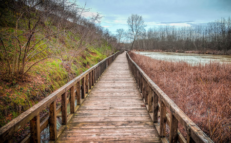 Sakarya, Turkey - January 19, 2013: Acarlar floodplain (longoz) forest in Sakarya, Turkey.のeditorial素材