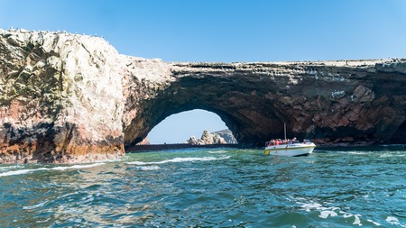Panoramic viewy from Paracas National Park in Peru with different bird kinds. Ica, Peruの写真素材
