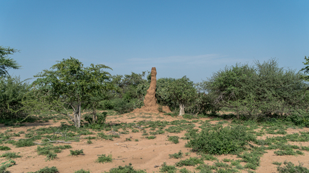 Omo Valley, South Ethiopia - September 2017: Huge termite mound in Africaのeditorial素材