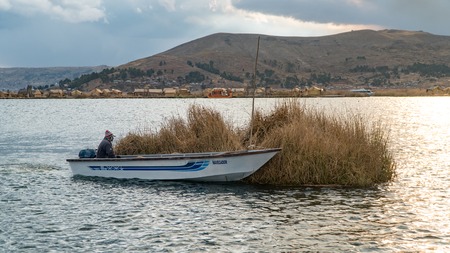 Lake Titicaca, Bolivia - September 2017: Man in a boat carrying reed on the Titicaca lake in Bolivia