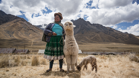 Arequipa, Peru - September 2017: Peruvian woman with lama and alpaca.のeditorial素材