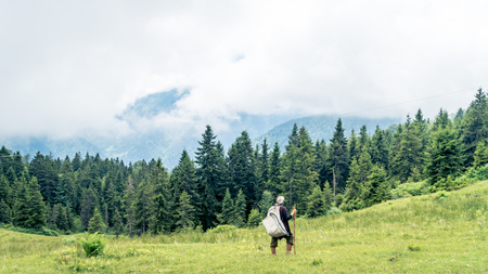 Rize, Turkey - July 2017: Unidentified old shephard woman in Blacksea Karadeniz regionのeditorial素材