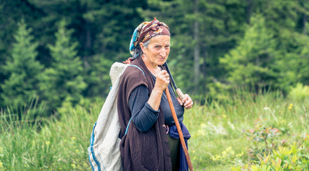 Rize, Turkey - July 2017: Unidentified old shephard woman in Blacksea Karadeniz region