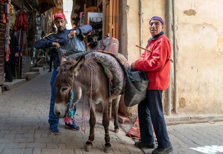 Fez, Morocco - April 2018: A donkey carrying a load of merchandise in the Fez medina, Moroccoのeditorial素材