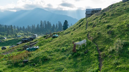 Artvin, Turkey - July 2018: An unidentified woman walks with her horse in Gorgit highland in Blacksea region, Artvin, Turkeyのeditorial素材