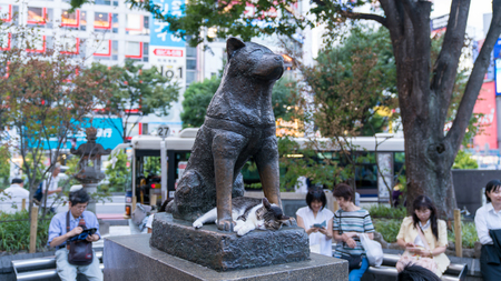 Tokyo, Japan - August 2018: Cat sleeping under Hachiko the dog memorial statue infront of Shibuya station.のeditorial素材